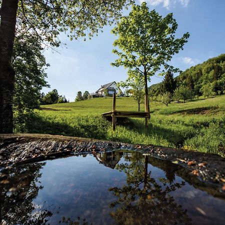 Na Kupcku Estate "Nature Reatreat & Wellness" 伊德里亚 外观 照片