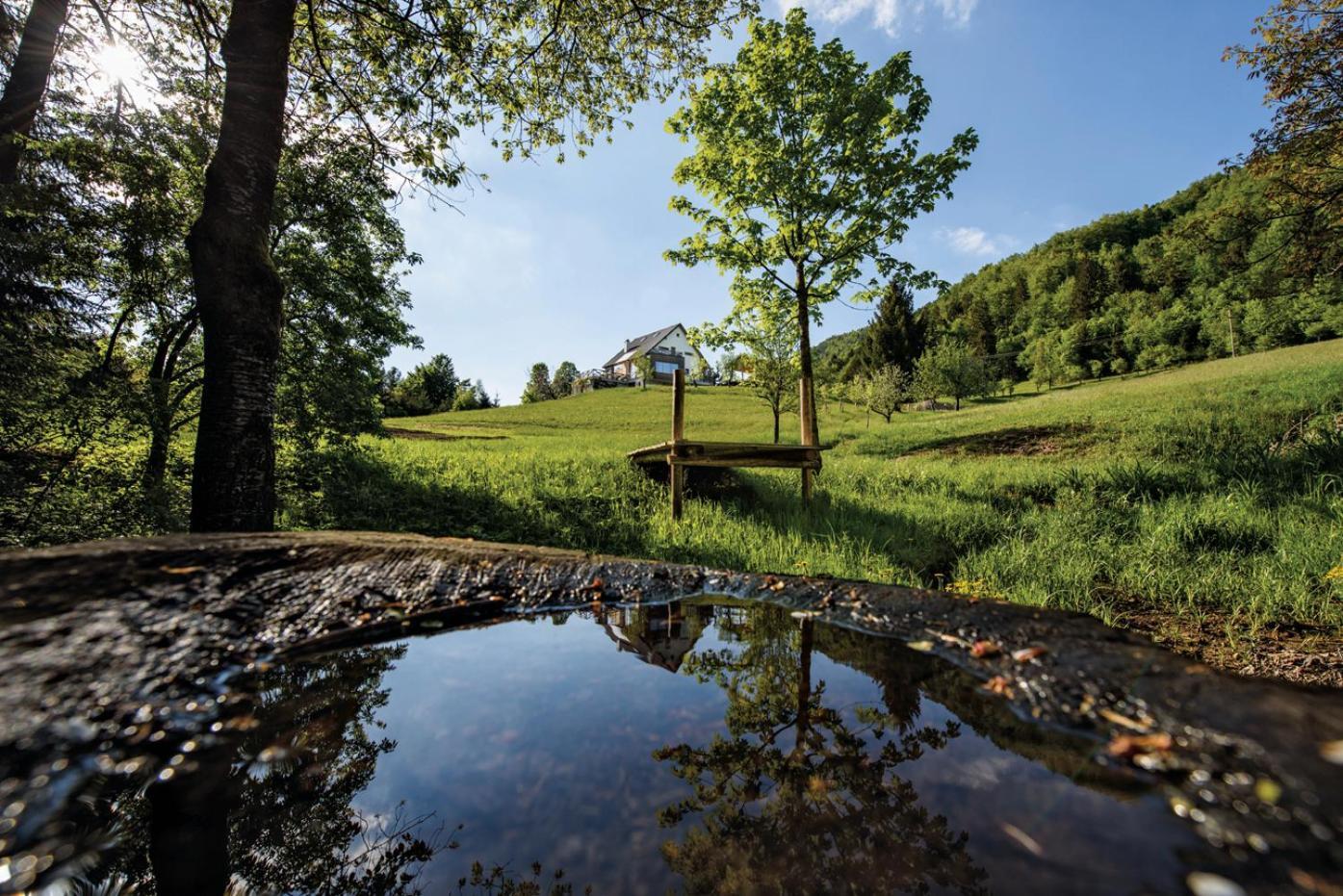 Na Kupcku Estate "Nature Reatreat & Wellness" 伊德里亚 外观 照片